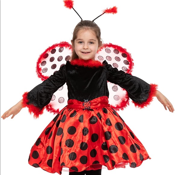 Other - Ladybug Girl Costume, Fancy dress with wings Sz 3T
